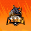Chitwan Rhinos logo
